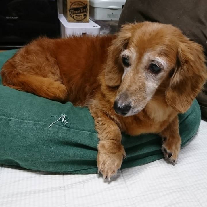 D4e8105e 633f 48ef 9f17 2fdcd2645402