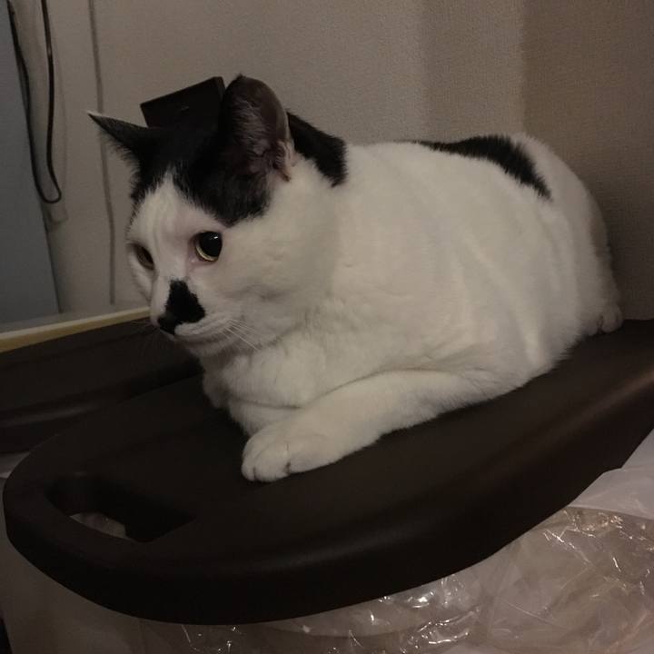 D4e85170 a1af 4e7e 8521 3ee035b2c558