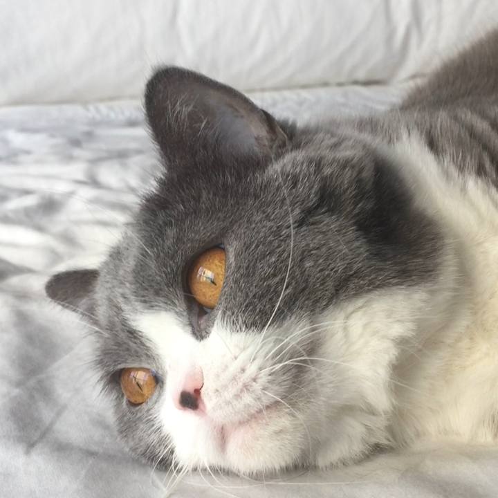 D4e85c78 7e63 40bc 8ce0 bcdd6fcbd5b2