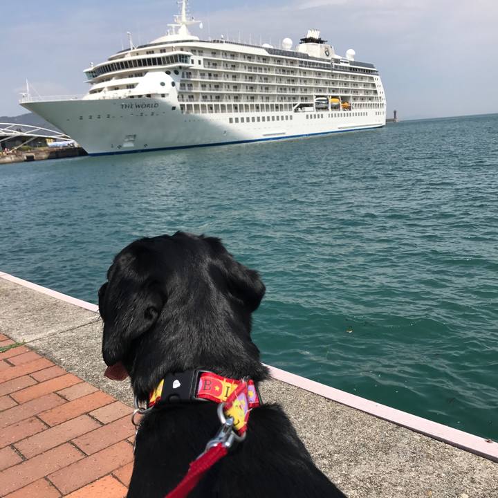 D4e8e1e5 3642 4021 a6e3 e1fa30f0898d