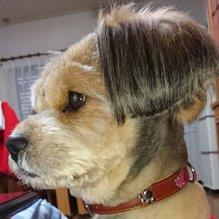 D4e98d25 3920 4837 a635 689b259886c9