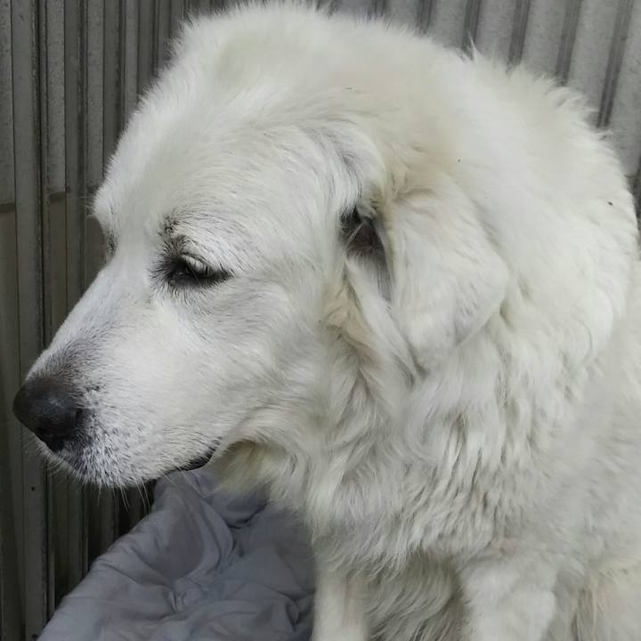 D4e9c123 dd58 4f24 8b1f c4a3eda540cf