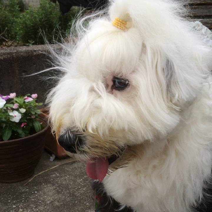 D4ea7729 60eb 47d8 a314 893b64d01c4b