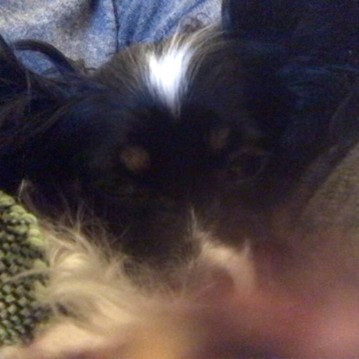 D4eabaea 9329 4e28 b813 efd1c3edefcf