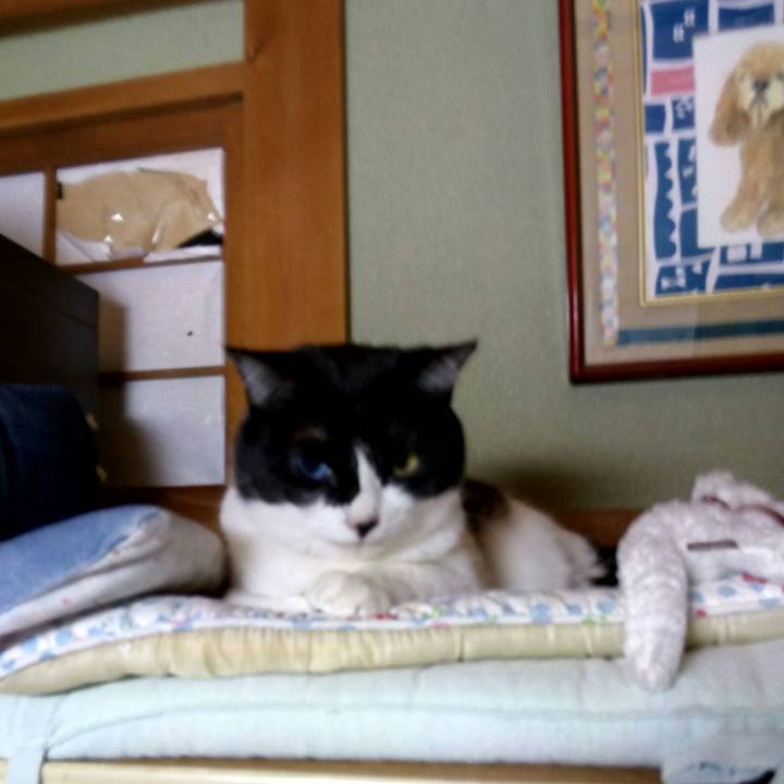 D4eb1cba 02d6 4660 8e5a 6582d0111758