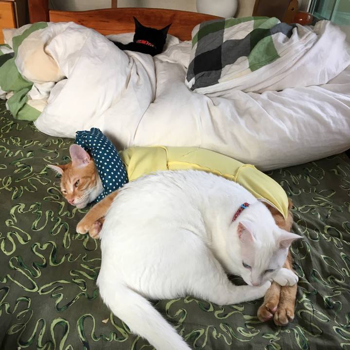 D4eb50cb d6a0 4c18 88ff b909117a4a98