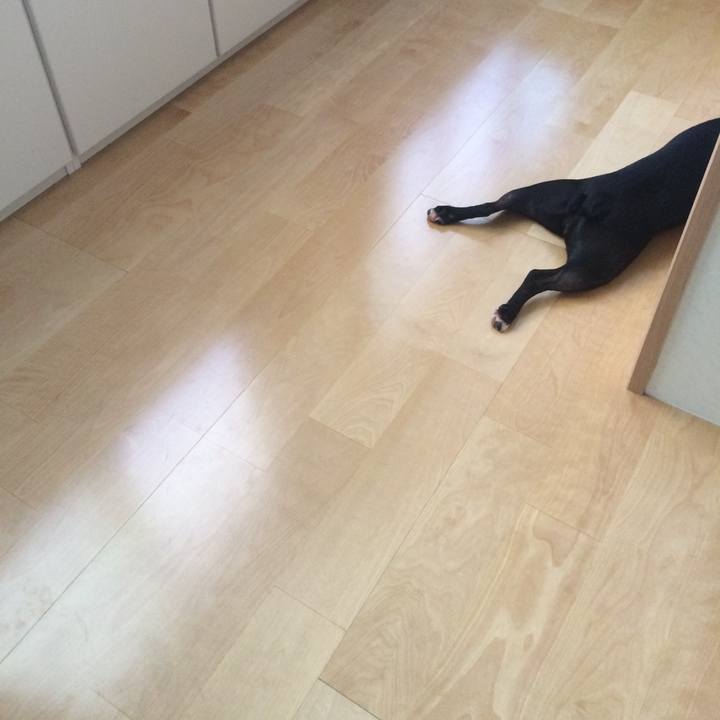 D4ebaa8e f040 453b 93bc 31a64d4d5e20