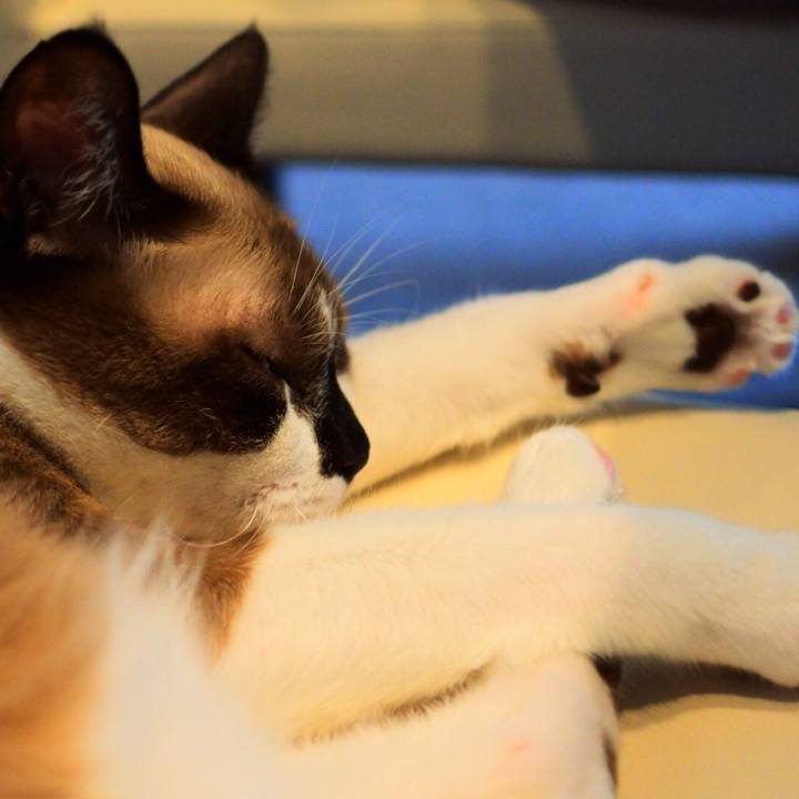 D4ed33ad dfca 4bd1 abb7 111415d81b65