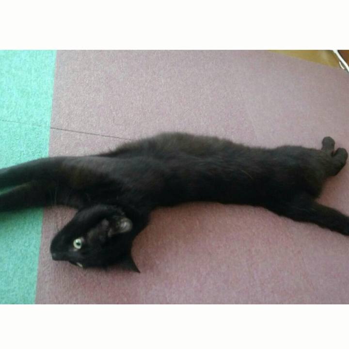 D4ed94a7 dba9 4b9f b62e 40c7b43b0cba