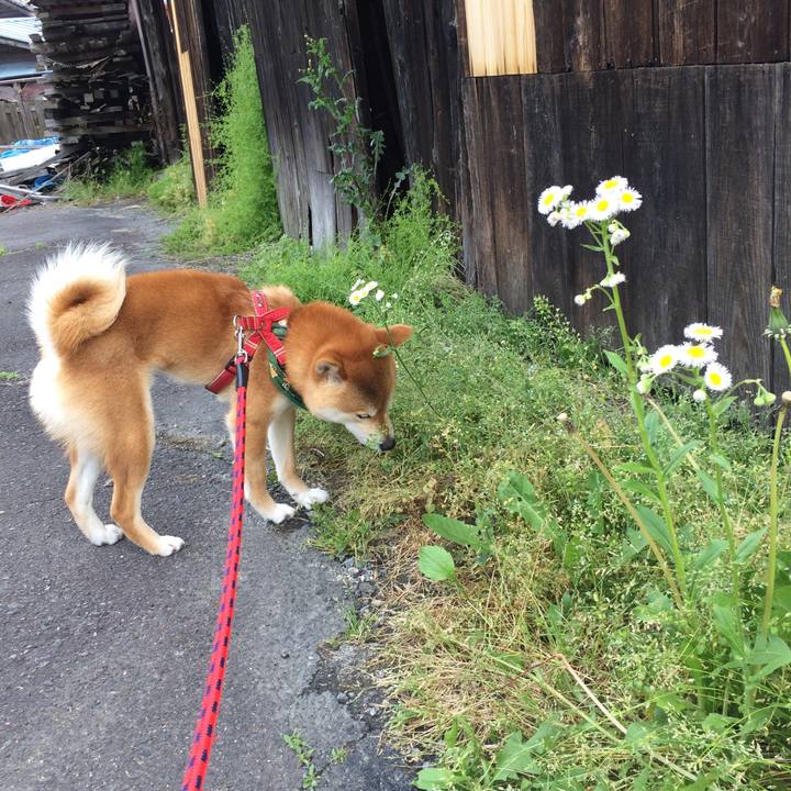 D4ee162f 64cc 4e5f 8803 ac620618fe91