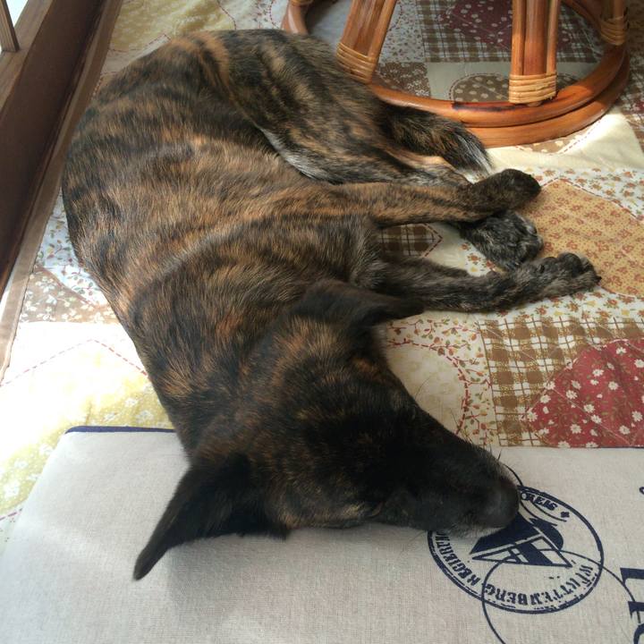 D4ee447c da6b 4491 8a2d 62d91ef3ea01