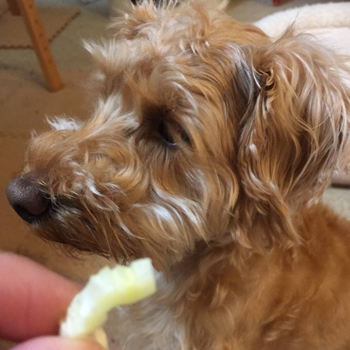 D4ee46d8 6b45 449c a160 beb8c83f7f83