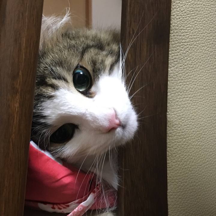 D4ee4807 e2ff 4669 946f 13a4083ac1bd