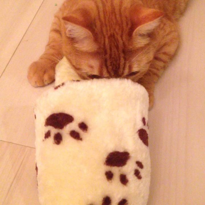 D4eea534 4486 46d7 ab46 f15517372726