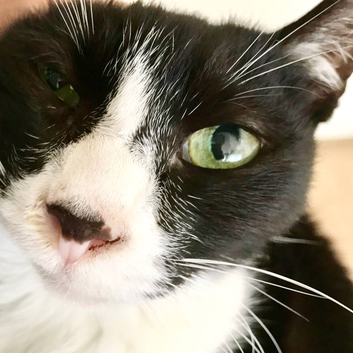 D4ef5926 84c6 466c 9119 8d6943f090eb