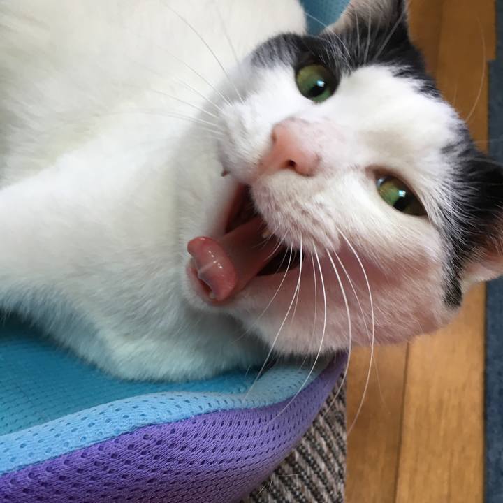 D4efe3e9 4dfb 4f54 b98e 7236583a9920