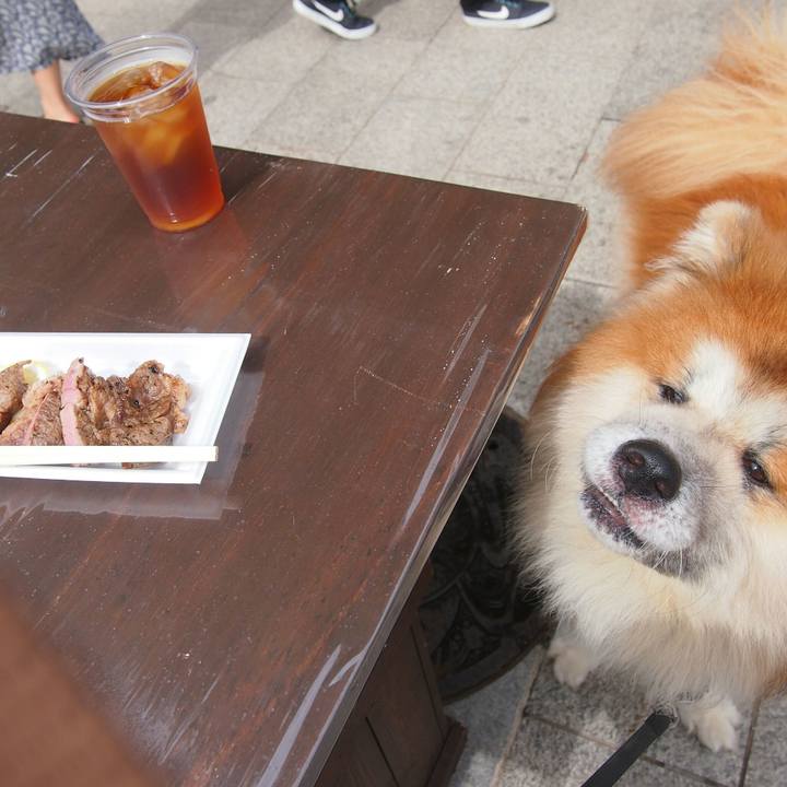 D4f064cc facc 4569 a3f1 8d17cfc7c036