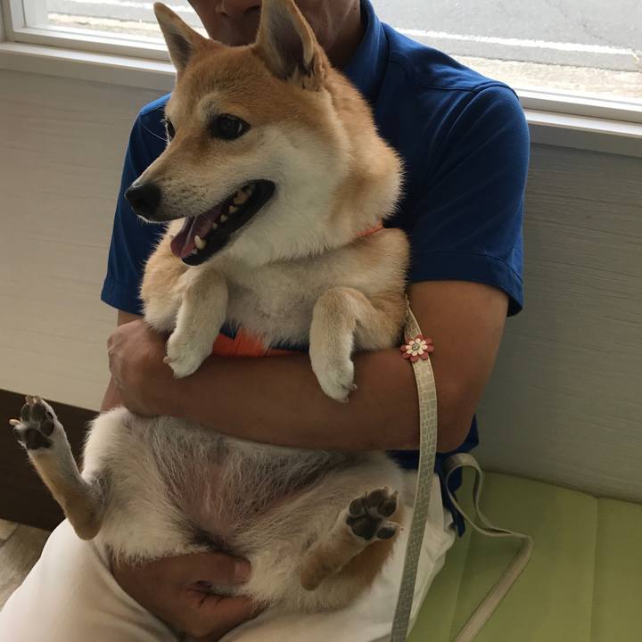 D4f074bc 3b11 45dd 8611 6b1086837ae4