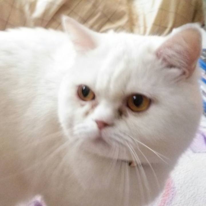 D4f0e2ec 3df6 43b7 96b1 f825088e9f74