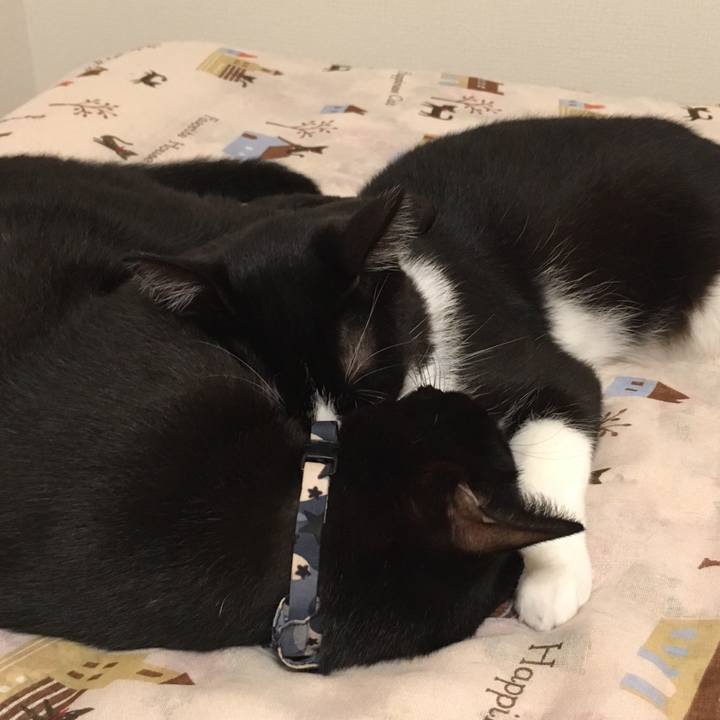 D4f0ff24 d320 4520 85fa 84607ba41c54