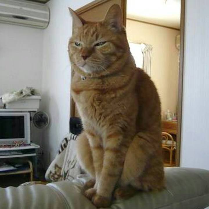 D4f13c87 f5c9 4449 bdb5 f5da2ccc759e