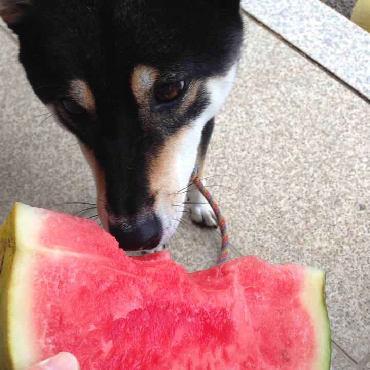 D4f14890 1fdc 4a27 bf6e a4e0faa42072