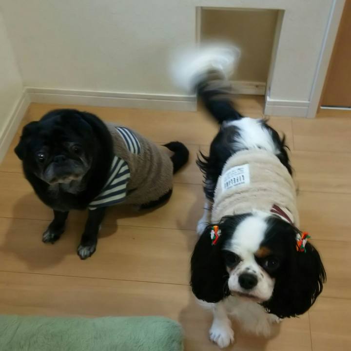 D4f1610b f97a 4610 b391 f222b14d45ce