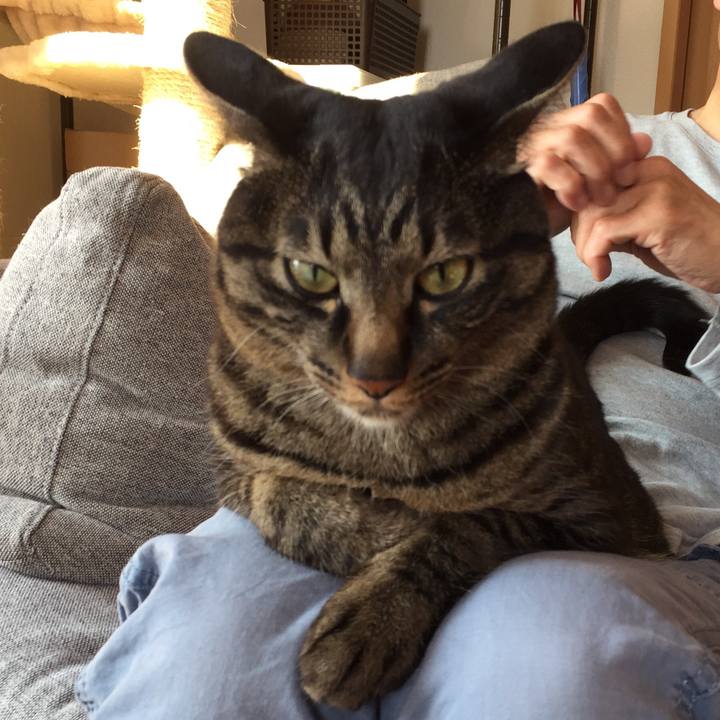 D4f16c60 b3f8 4b91 b2c9 d79fb186e92d