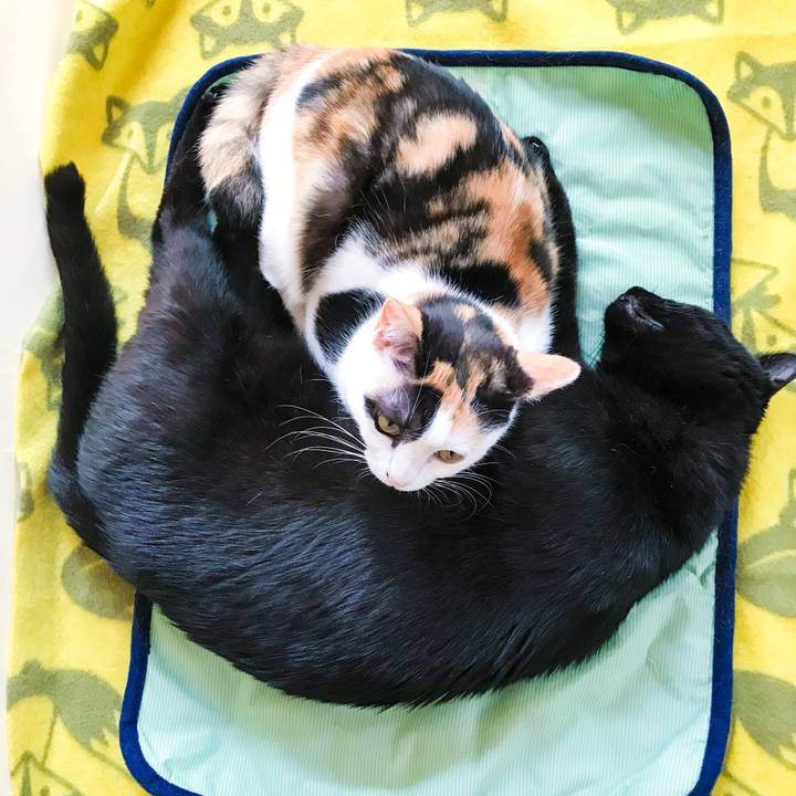 D4f16ced ffb1 4f13 8cfb 07a45d133ea5