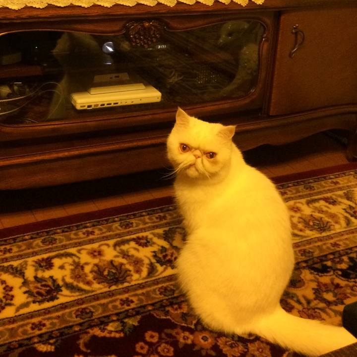 D4f28916 a471 4a70 ad2d 802e16e13a10