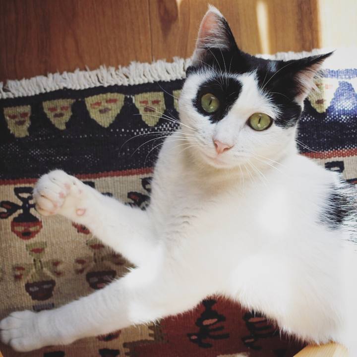 D4f2dbe9 795b 4569 a673 00537e75d785