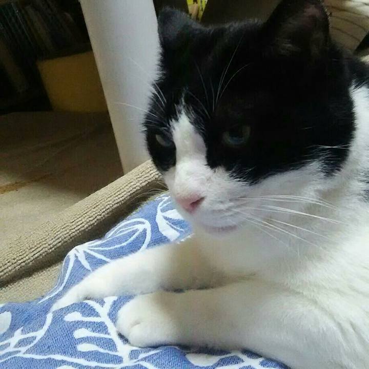 D4f350ee ea1c 4ad5 9b79 16f26646d723