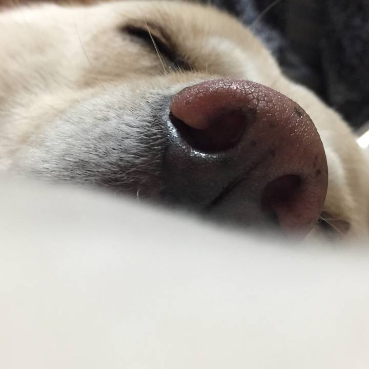 D4f35600 4f57 4ce5 94b3 2e060483c952