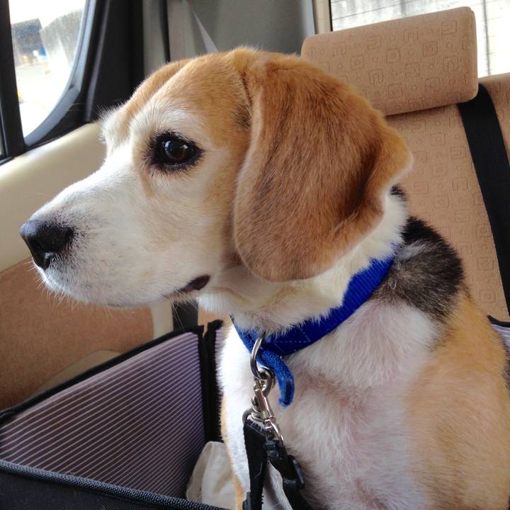 D4f3c66c 9e3d 415f b3be f8b0358bfbc4