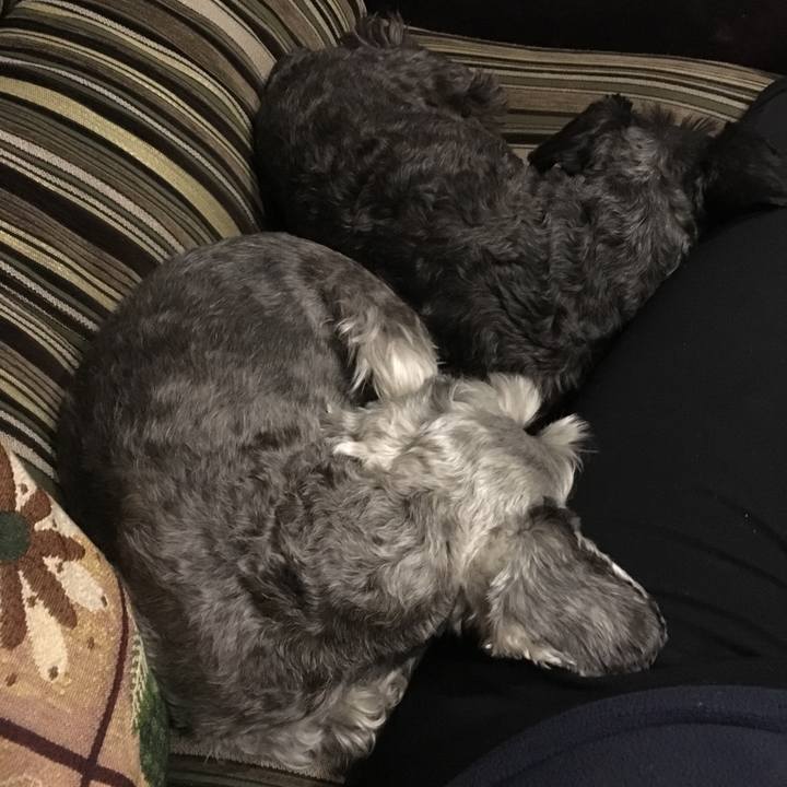 D4f452ce 8ffa 43b7 995c e3d1dd8f02cd