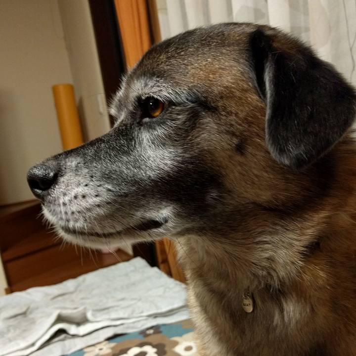 D4f48081 a63f 45c6 bfb4 f9545539befa