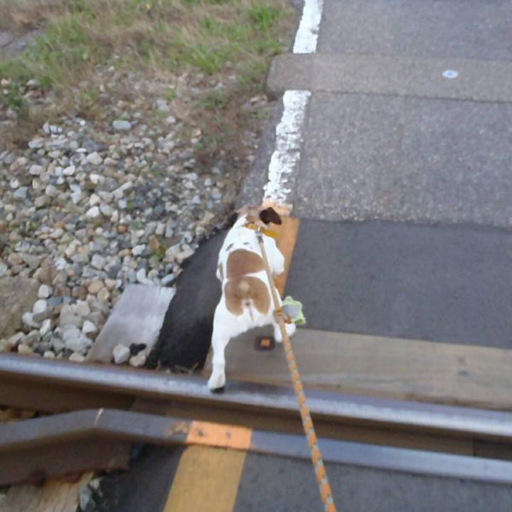 D4f4b002 1c09 43e5 a01f c78dc42aa855