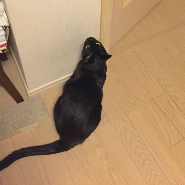 D4f51226 d125 4734 a807 4bcca5bd853e