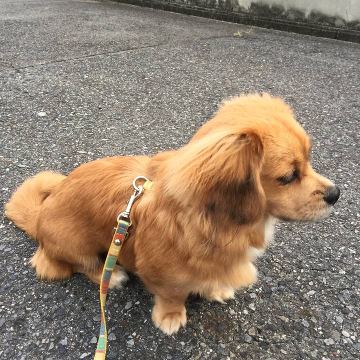 D4f51a12 c6bf 4fc4 96dd db94bdb541e6