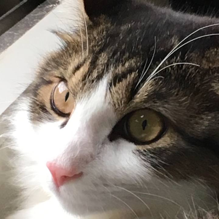 D4f5c8f4 7b30 47c8 b344 c407faf11d81