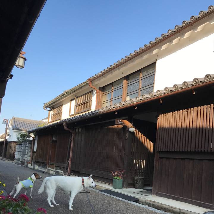 D4f65870 d90d 401d ae72 52837849bdd5