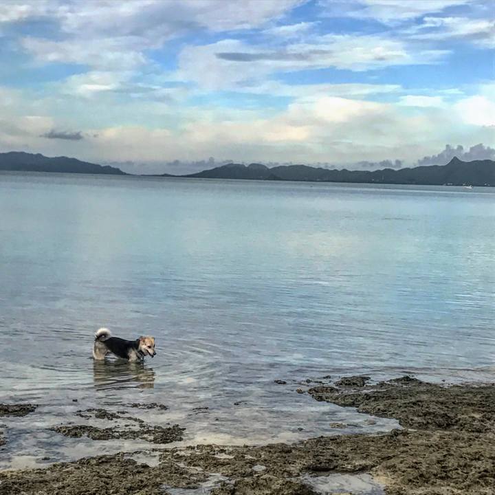 D4f7d33e 8294 4188 9cb7 403b8b755065