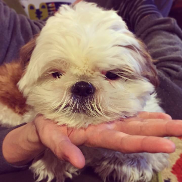 D4f7d736 dd43 433e b72d 311105ff6d0d