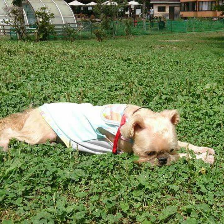 D4f8100d f7cd 450b 87b6 688a08b99480