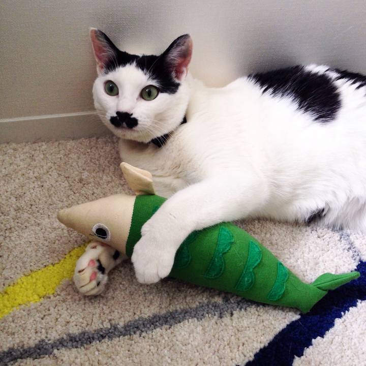 D4f87830 a535 4dda 82e2 2d3d24406a2b