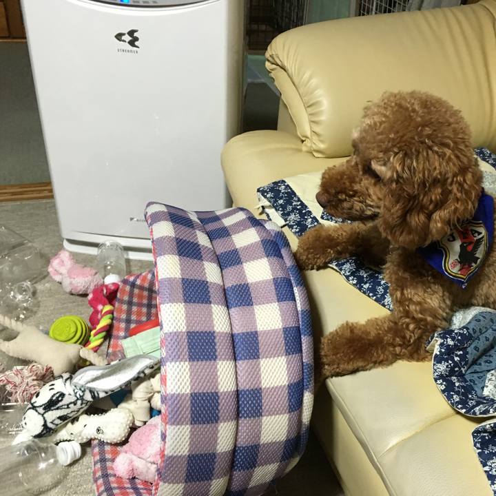 D4f8cf06 d081 4e87 964e 55402be21382