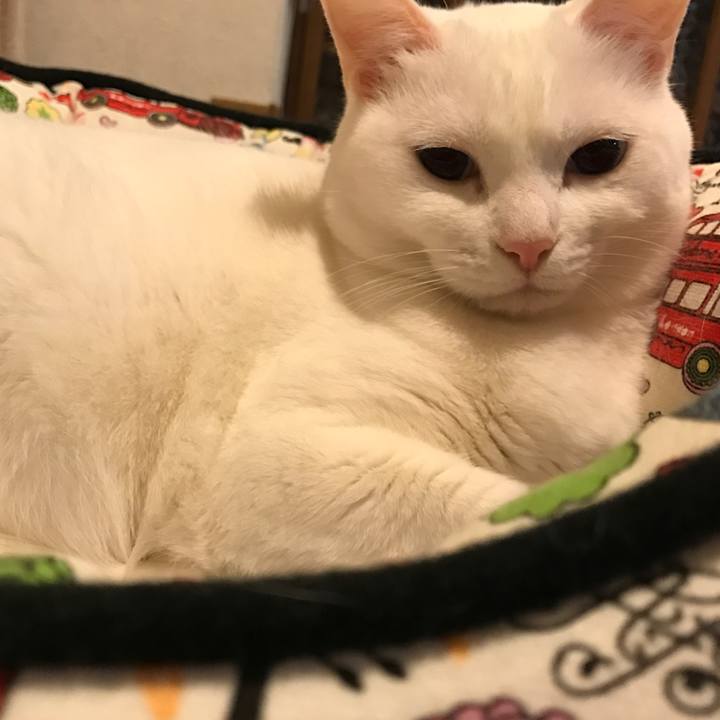 D4f93ce4 4d04 43ea bbd0 2dbd7b2772b1