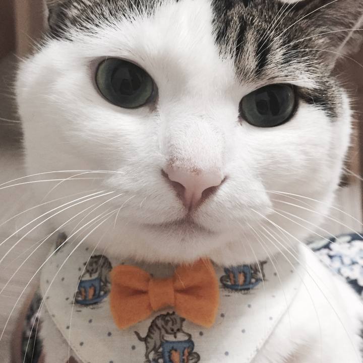 D4f99f44 c7c5 44b0 a87e 0157341729f5