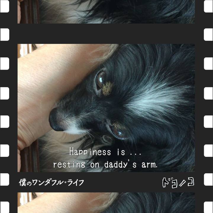 D4fb68ee 82e4 4372 9d05 10af1c41c904