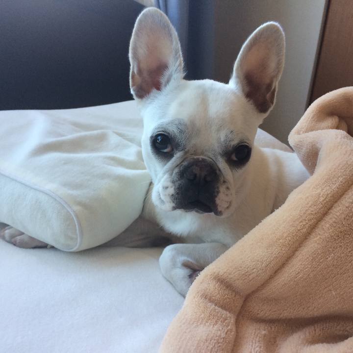 D4fc3295 d29b 4905 8dc3 538c630c7d23